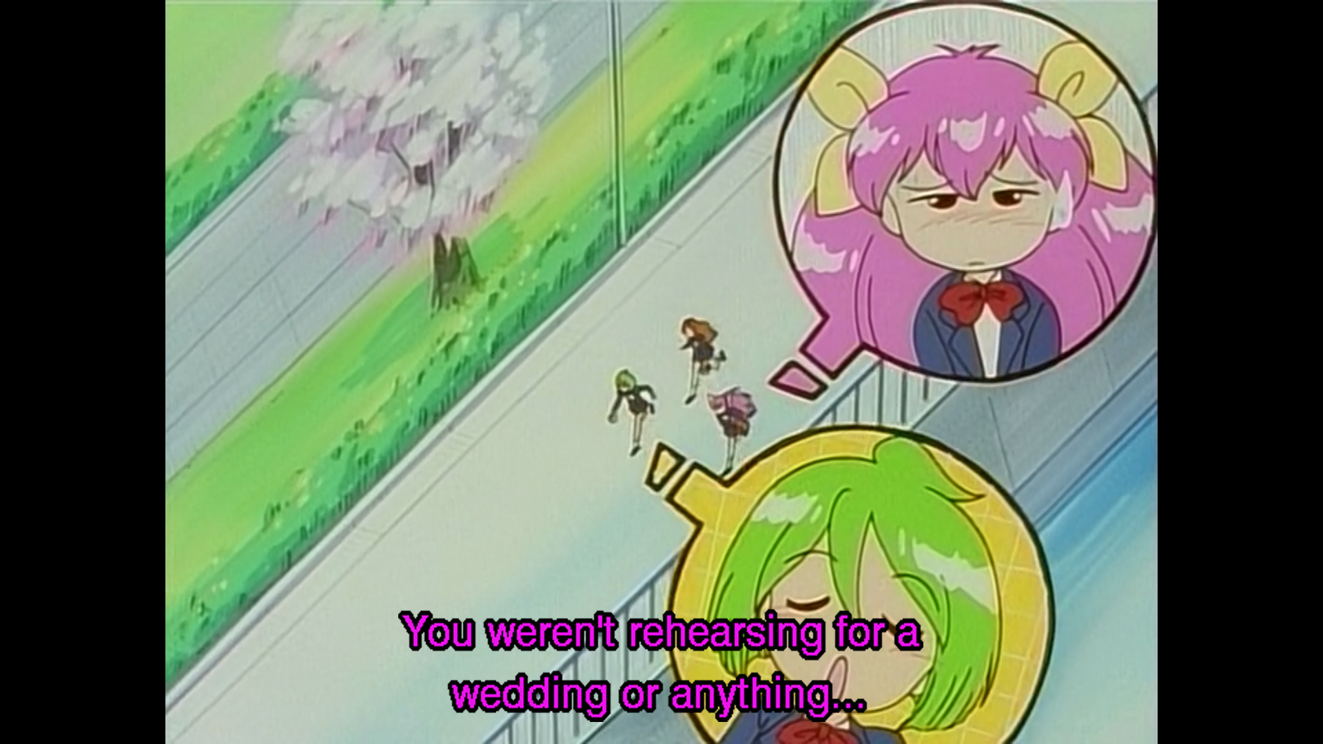 Wedding Peach Complete + DX Dual Audio English Dubbed DVD - RetroAnimation