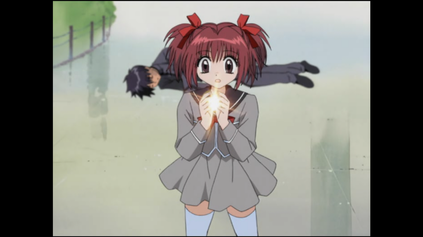 Tokyo Mew Mew Complete Series DVD - RetroAnimation
