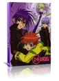 D.N.Angel Complete Dual Audio Anime Boxset DVD - RetroAnimation 