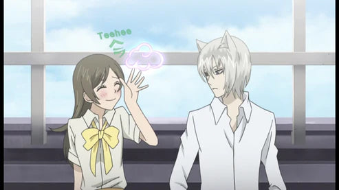 KAMISAMA KISS Complete Series & OVA Dual Audio DVD