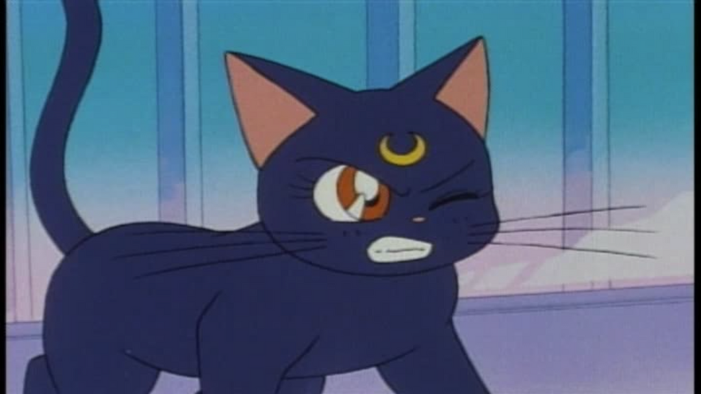 Sailor Moon Dic Dub Complete Seasons 1&2 DVD Set - RetroAnimation 